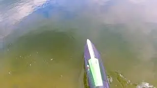 T10 2xsteps mono 2 hull naviga racing setup