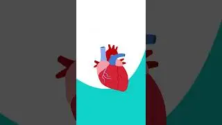 Infarto y paro cardíaco. Aprende a diferenciarlos.