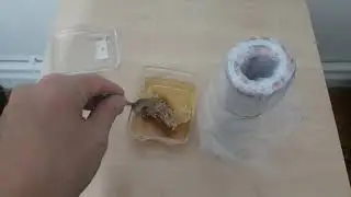 BALLI AMCIK YAPIMI