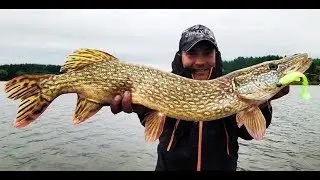 MONSTER Pike on Jig! Trophy Fishing, 10 kg Pike on Spinning