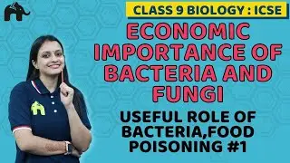 Economic Importance of Bacteria and Fungi Class 9 ICSE Biology Chapter 8| Bacteria,Food Poisoning #1