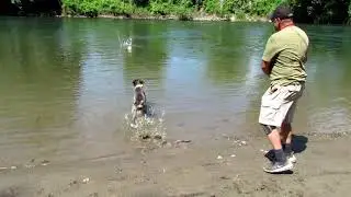 Grizwold AKC Water Test (6/30/20)