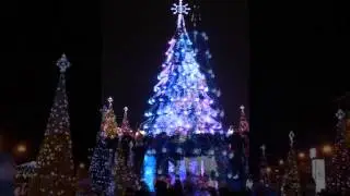 Новогодняя елка в Харькове