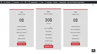 Create Vertical Subscription Packages in Paid Membership Pro - Wyzi Theme Tutorial