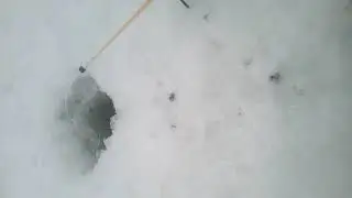 Зимняя рыбалка 2019 на удочку!вот что вышло!