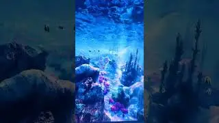 Journey to the deep sea.