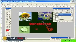 How to use Layer plate in photoshop