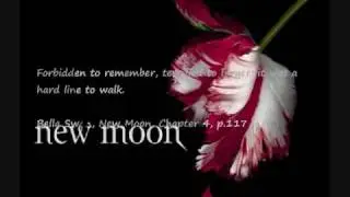 my New Moon Soundtrack #1-Duet-Rachael Yamagata w subtitle lyrics