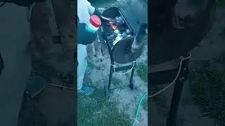 Лайфхак чтобы не горели угли от жира с помощью соли