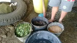 Tips sa Pagkain ng itik na hindi ma gastos/duck farming