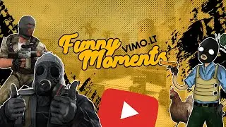 Vimo.lt žiupsnelis juoko ir kibiras durnysčių