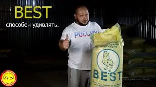 Комбикорм BEST удивил обновлением.
