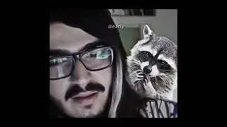kemal mi rakun mu?