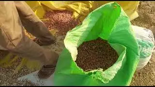 GROUNDNUT DECORTICATOR (MOONGFALI DANA THRESHER)