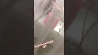 Маска для губ от LANEIGE(ягодная)