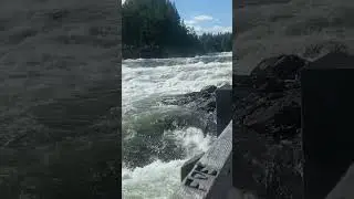 Storforsen Sweden 🇸🇪