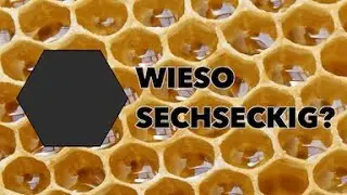 Why are the cells of honeycombs hexagonal?