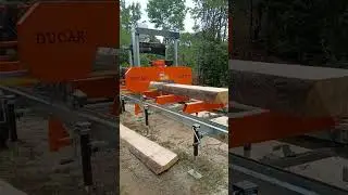 ducar sm 310 sawmill