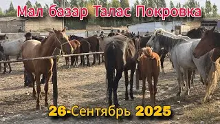 Мал базар Талас Покровка 26-Сентябрь 2025