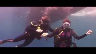 Подводный мир