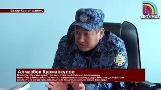 Базар-Коргондо жолбун иттер койлорго кол салып жатат