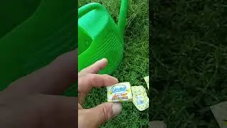 IL LIEVITO .... CON €0,80 POTREMMO DISPORRE DI 40 L DI FERTILIZZANTE LIQUIDO BIOLOGICO 🙂🙂🙂
