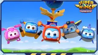 ✈ SUPERWINGS5 Super Pets! Full Episodes Live ✈