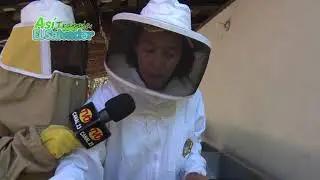 Así Trabaja El Salvador Apicultura