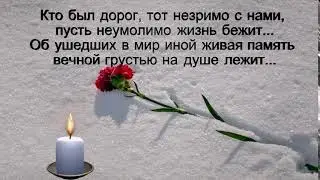 Снег,гвоздика