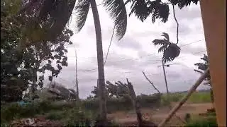 this is what we're getting from the hurricane Westmoreland Jamaica