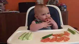 Blw 6 Months tomatoes & cucumber