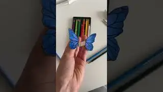 🦋📖