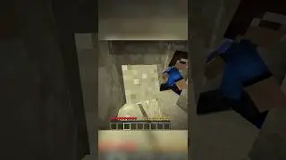 How Skeppy Survived in Minecraft Hide and Seek
