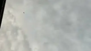 просто выложил)