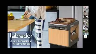Labrador Presentation