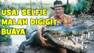 Usai Ajak Selfie,Pria Ini Malah Dibanting dan Digigit Buaya Besar