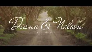 Diana & Nelson | PreBoda | #BSteyner