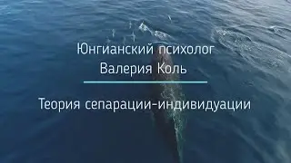 Теория сепарации-индивидуации