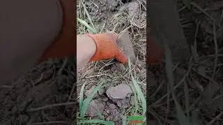 Откопал полезную находку для DIY 