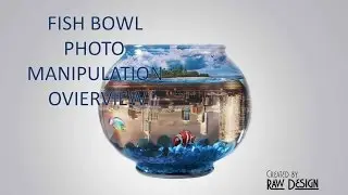 FISH BOWL PHOTO MANIPULATION OVERVIEW 2016