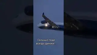 #цитаты #лучшие ❤️🕊️🕊️🕊️❤️