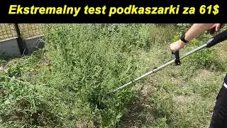 Szokujące! Zobacz Jak Ta Tania Podkaszarka Radzi Sobie w Ekstremalnych Warunkach! Test LowcyChin.pl
