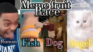 EVERY RACE SHOWCASE IN MEME FRUITS!!