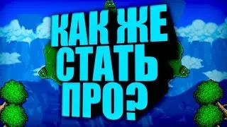 Так как-же стать про-игроком в Террарии?
