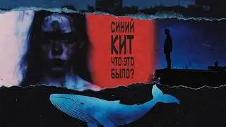 СИНИЙ КИТ | ЧТО ЭТО БЫЛО НА САМОМ ДЕЛЕ