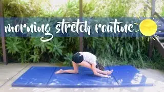 Morning Stretching Routine