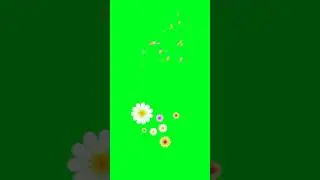 flower background video green screen beautiful flowers green screen video green screen video flowers