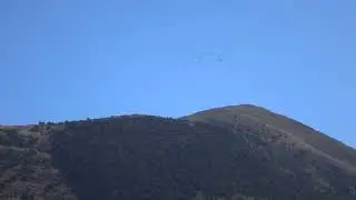 Сірі журавлі  (Grus grus) летять в Криму .
