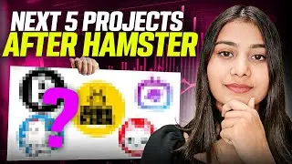 Don't miss out these project! Big airdrop| #airdrop #hamsterkombat