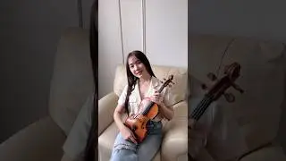 Tips Beli Biola!